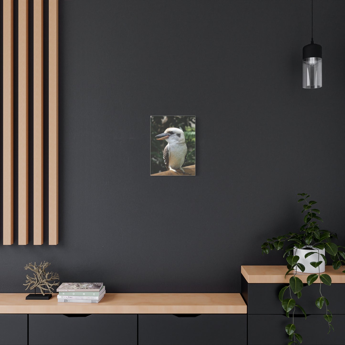 Australian Kookaburra - Canvas Print