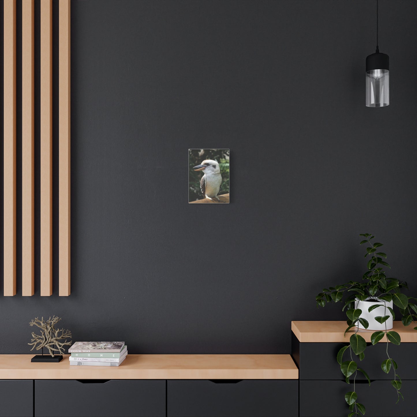 Australian Kookaburra - Canvas Print