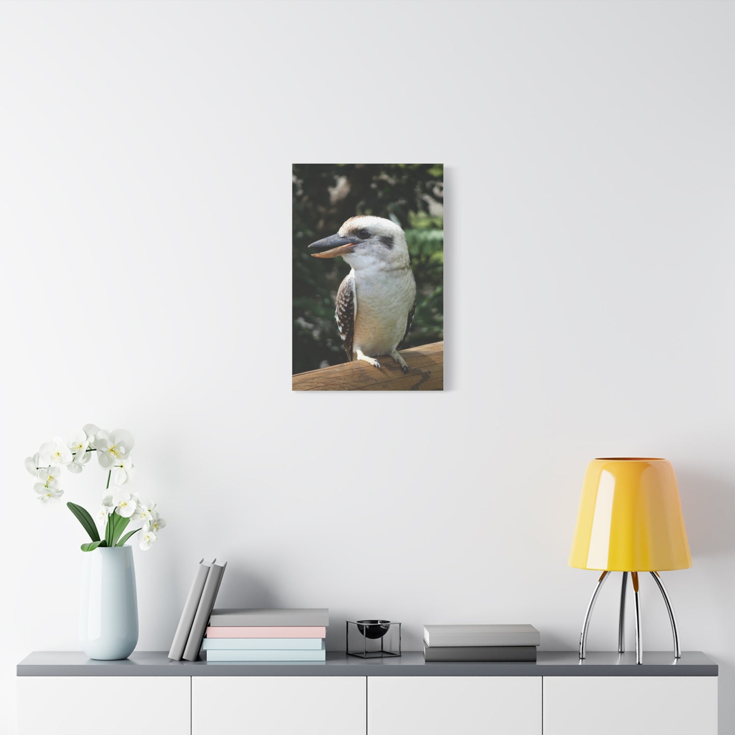Australian Kookaburra - Canvas Print