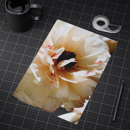 Cream Peony - Photo Print