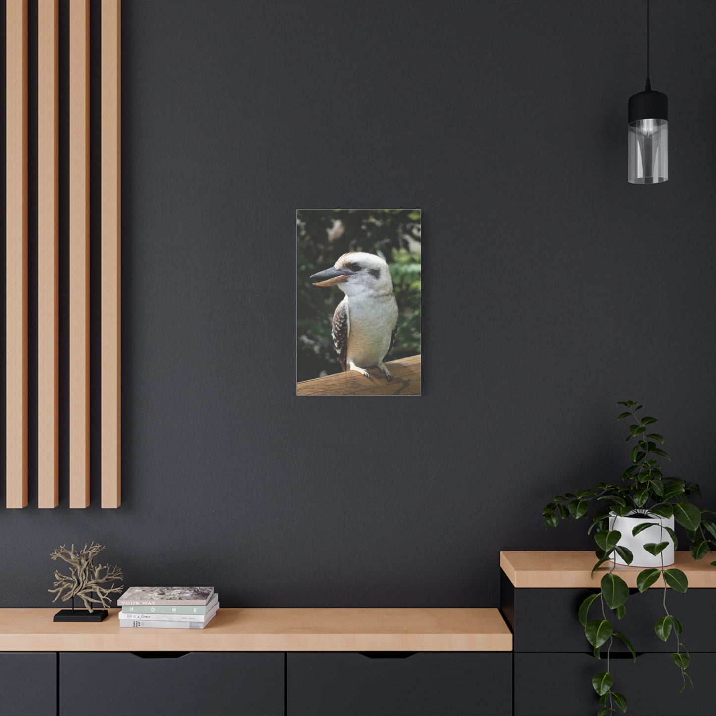 Australian Kookaburra - Canvas Print