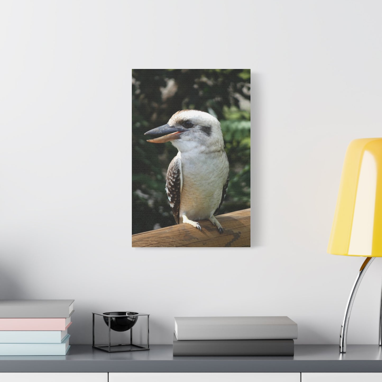 Australian Kookaburra - Canvas Print