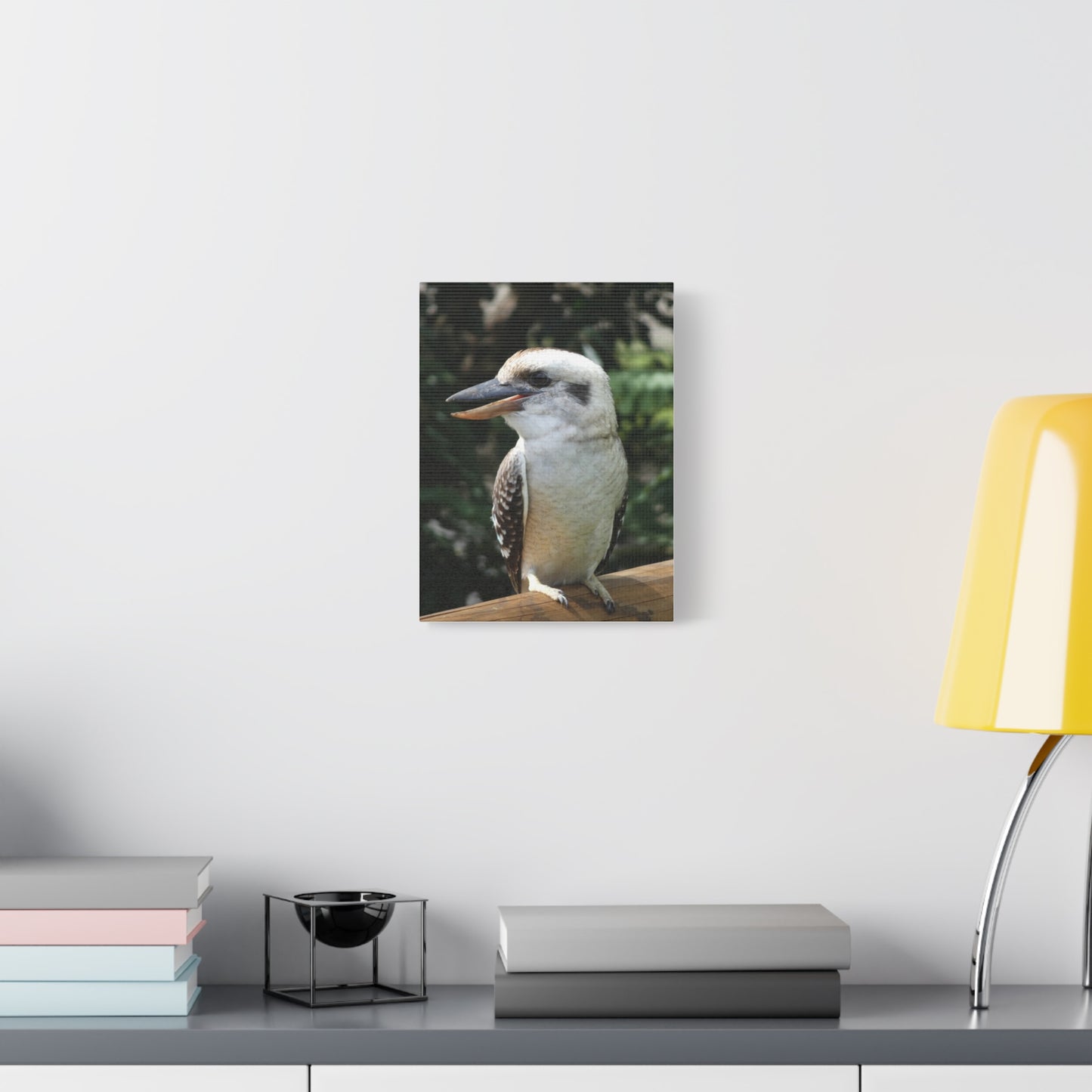 Australian Kookaburra - Canvas Print