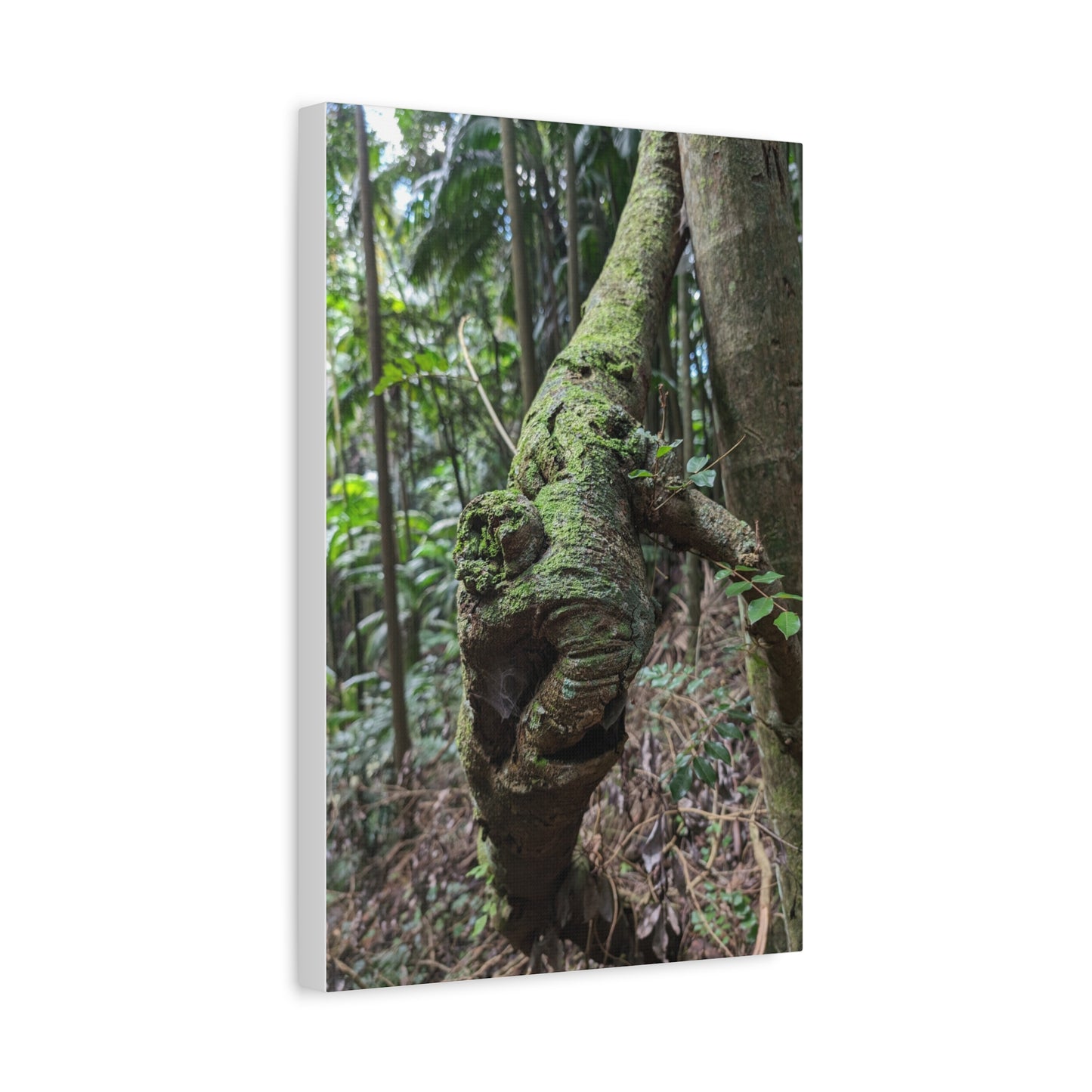 Forest Beauty - Canvas Print