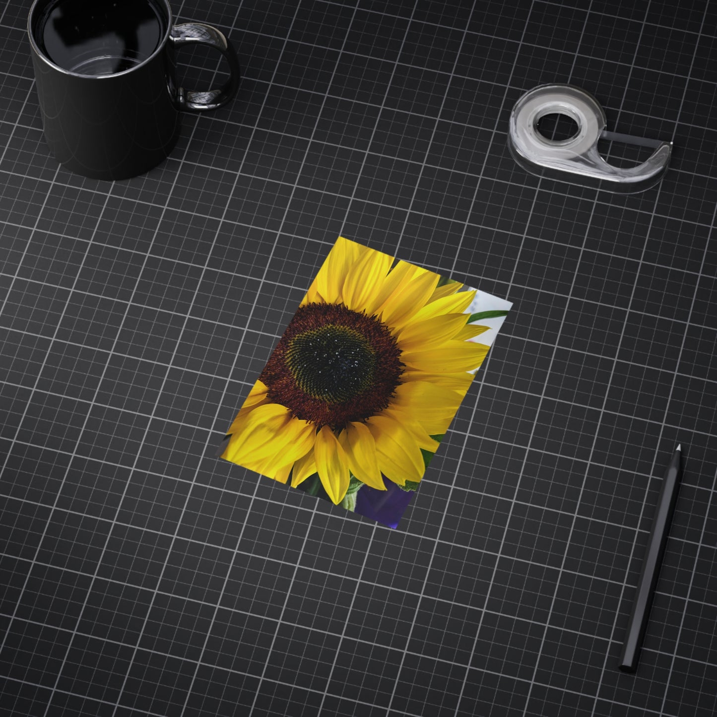 Sunflower - Photo Print