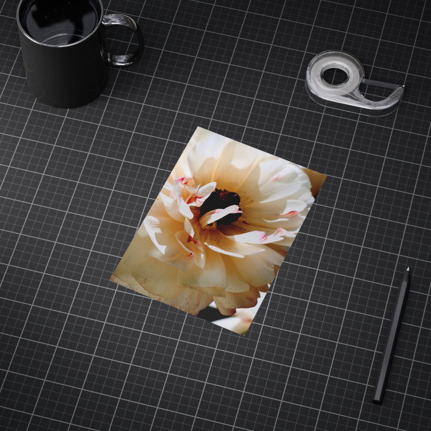 Cream Peony - Photo Print