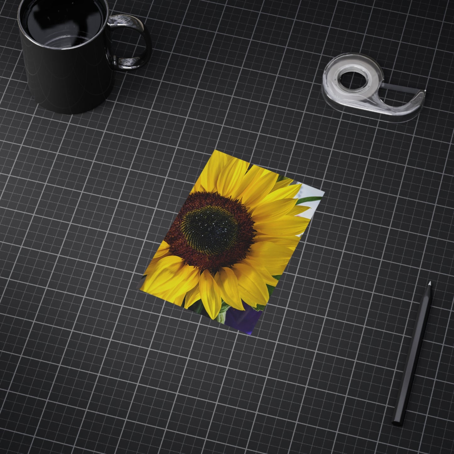 Sunflower - Photo Print