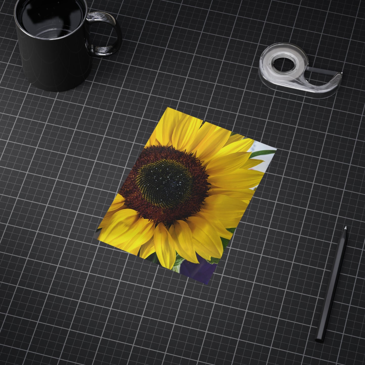 Sunflower - Photo Print
