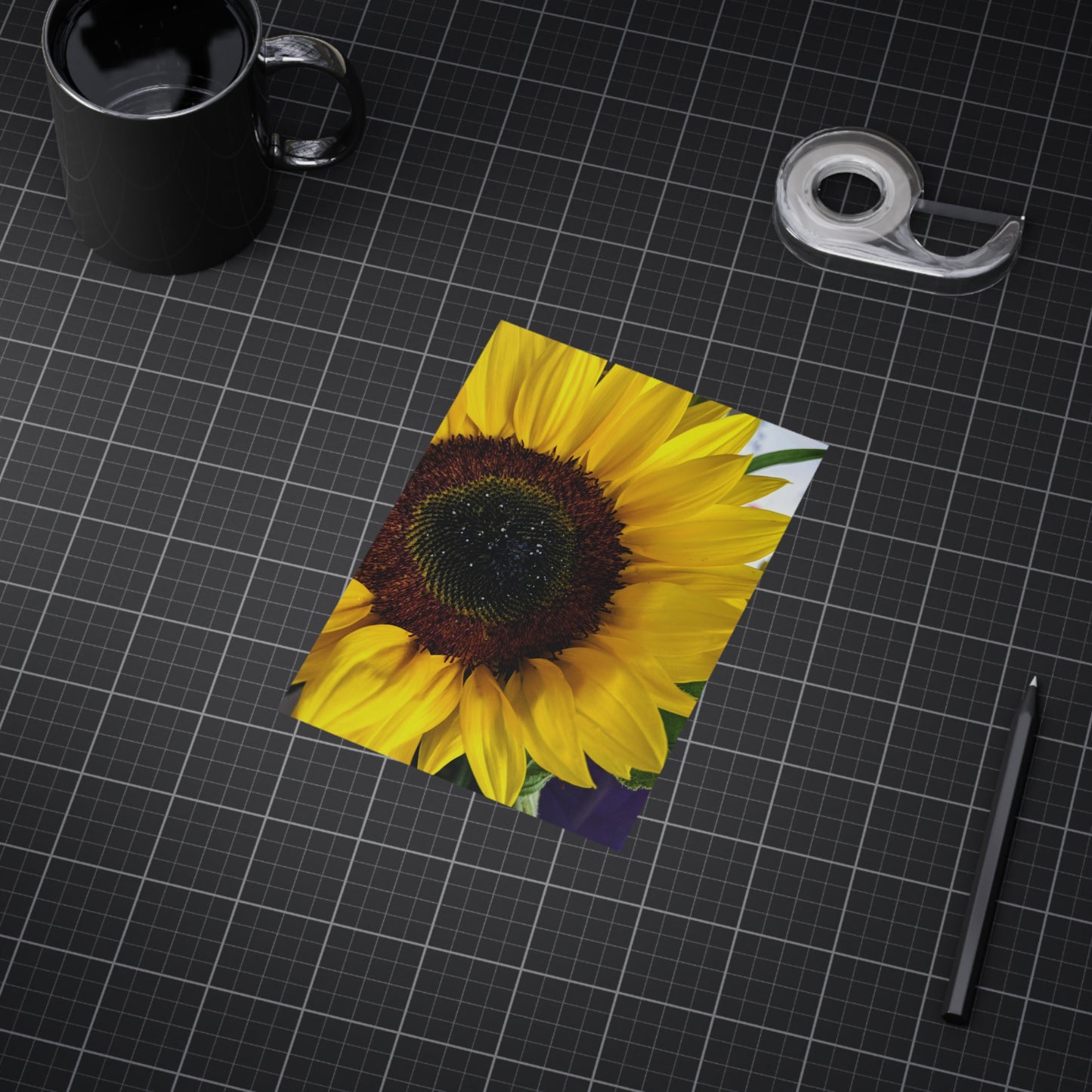 Sunflower - Photo Print
