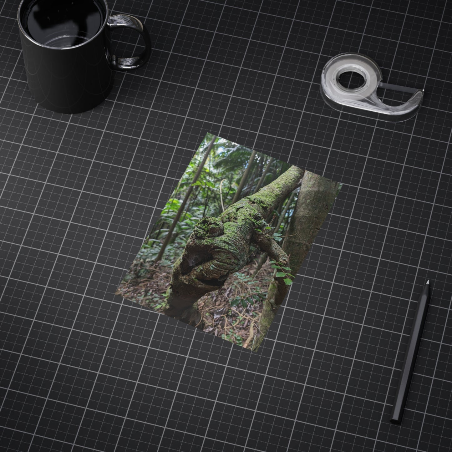 Forest Beauty - Photo Print