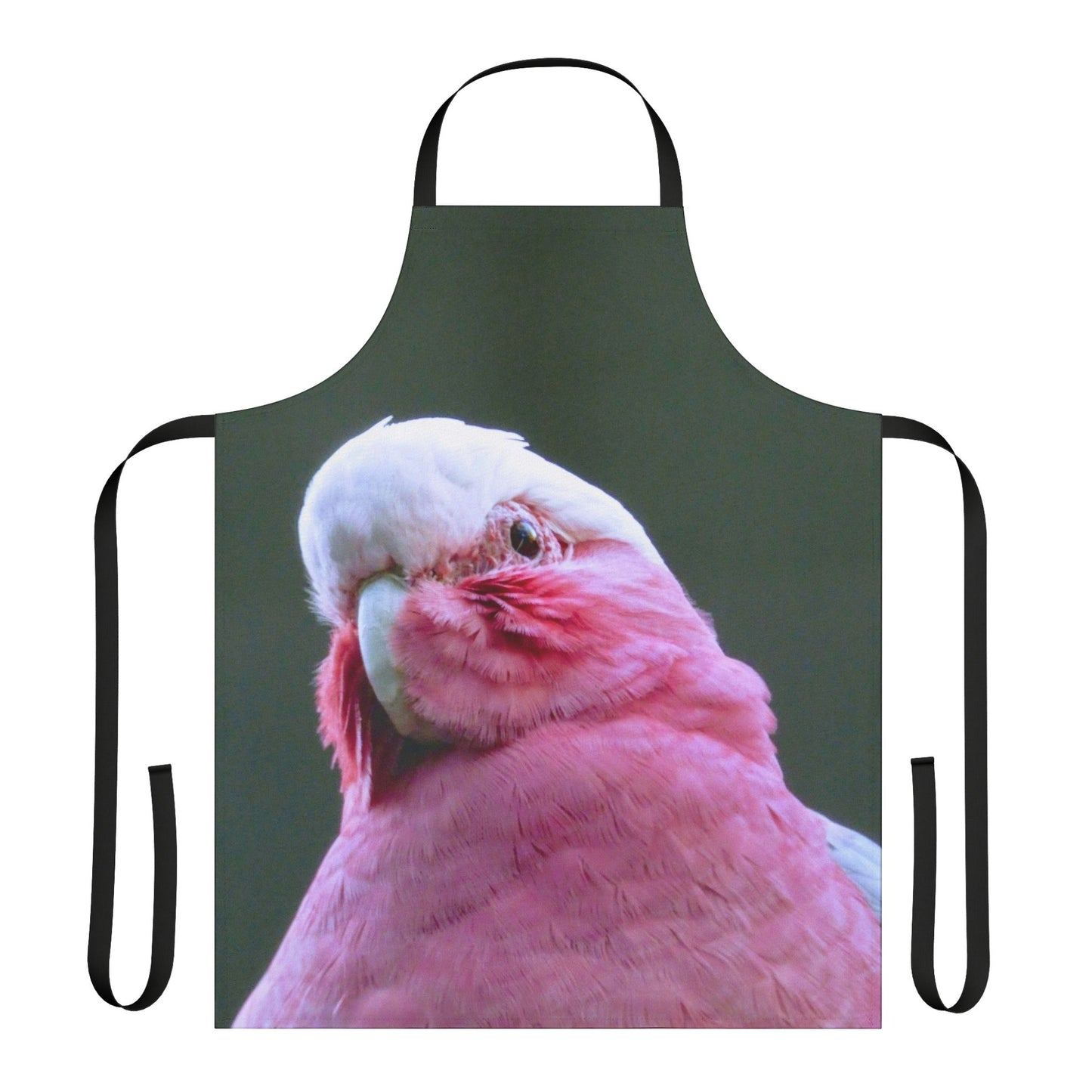 Australian Galah - Apron