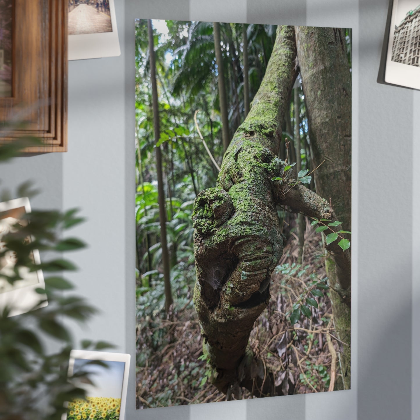 Forest Beauty - Photo Print