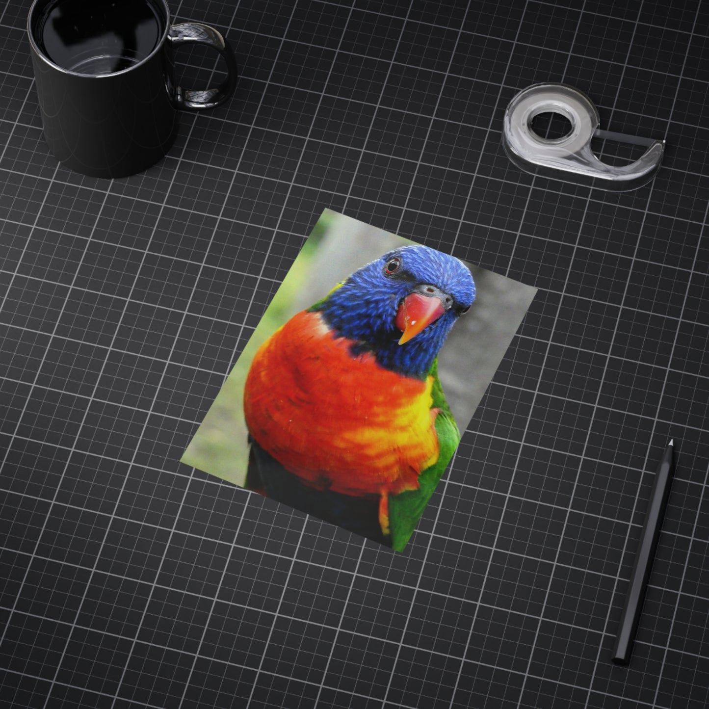 Australian Lorikeet - Photo Print