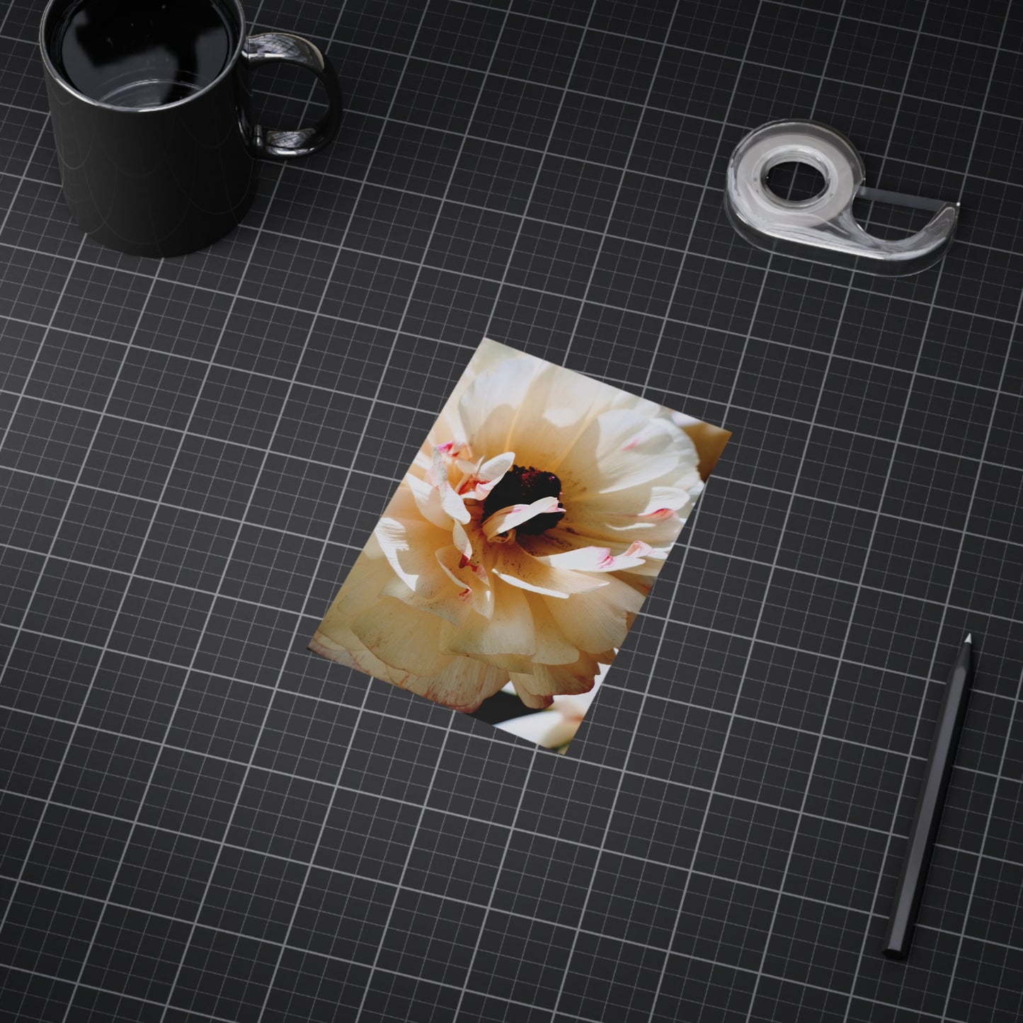 Cream Peony - Photo Print