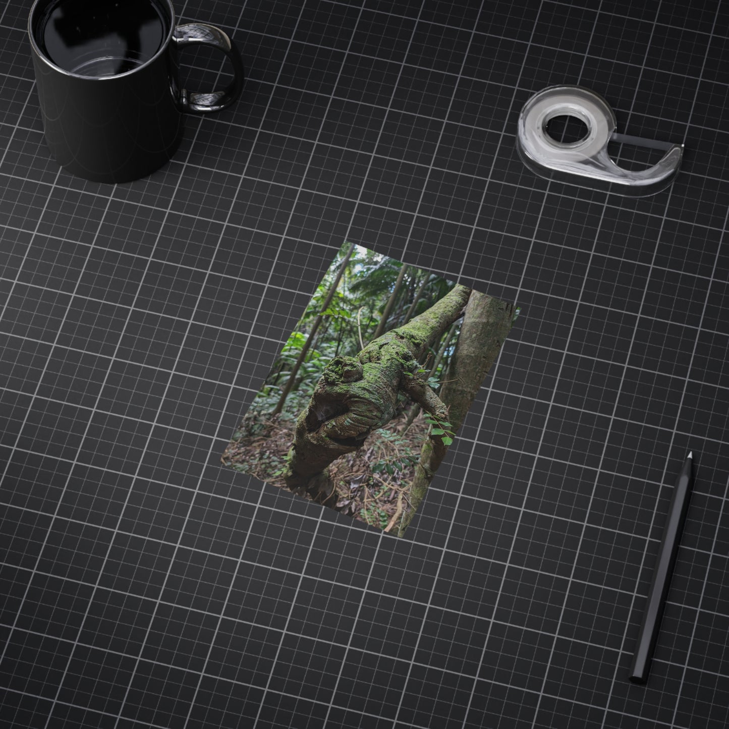 Forest Beauty - Photo Print