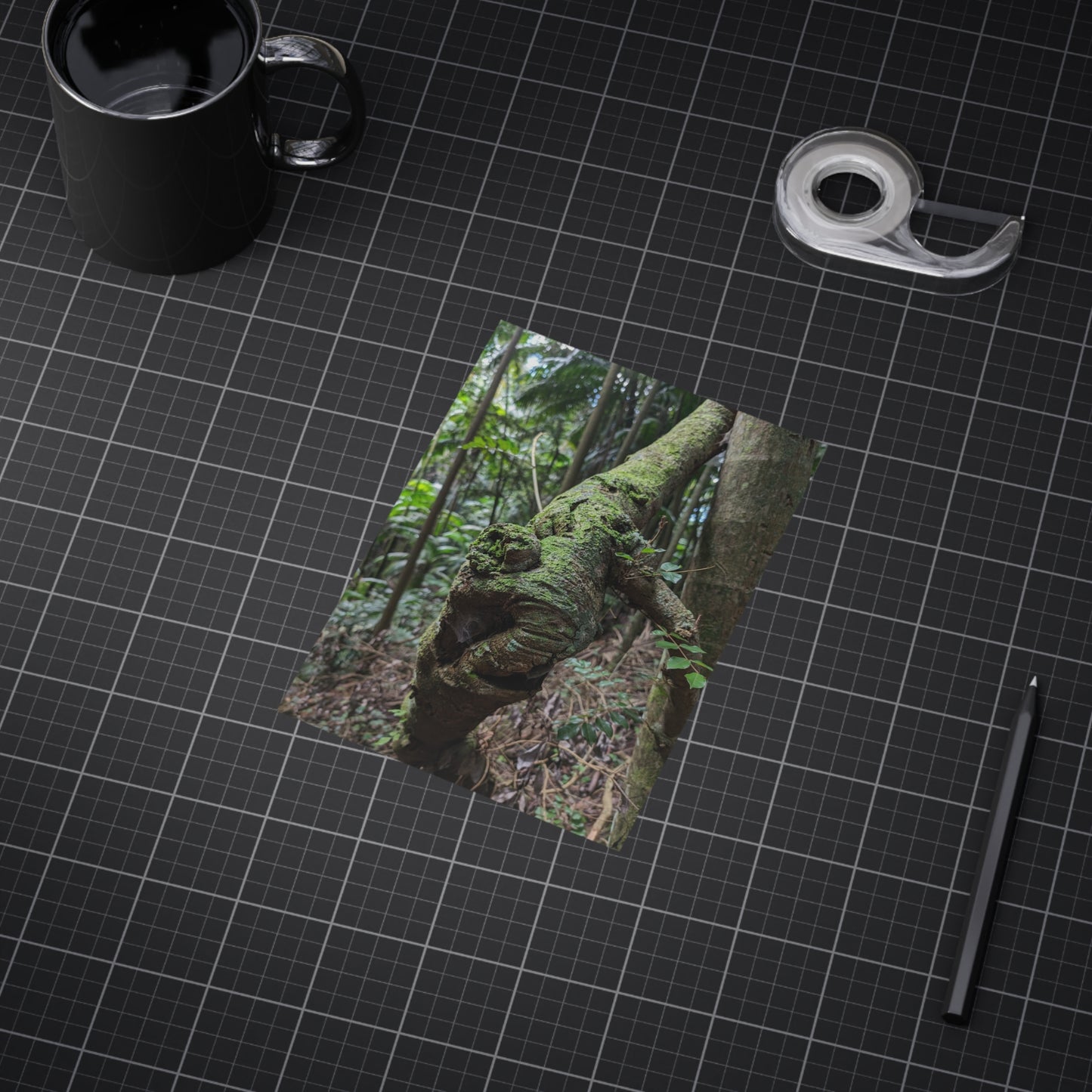 Forest Beauty - Photo Print