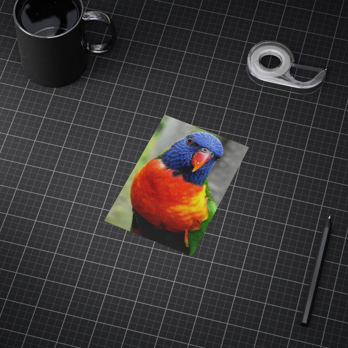 Australian Lorikeet - Photo Print