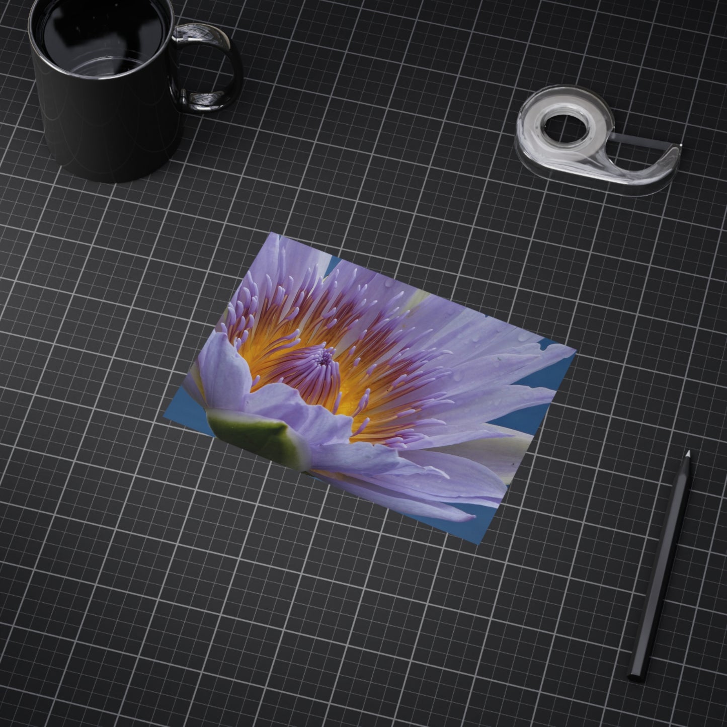 Lily  Flower - Photo Print