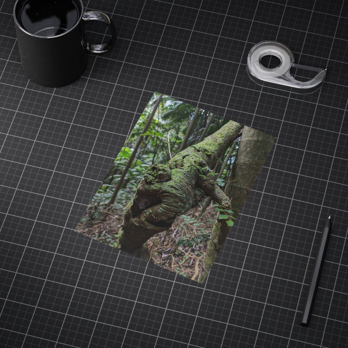 Forest Beauty - Photo Print