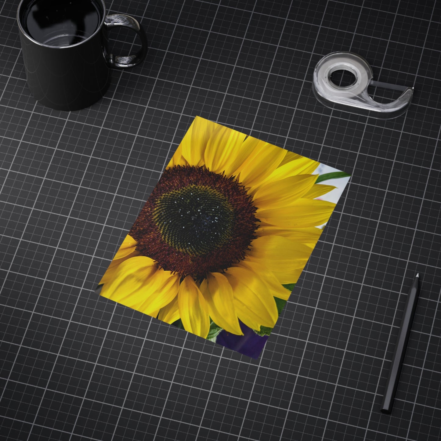 Sunflower - Photo Print
