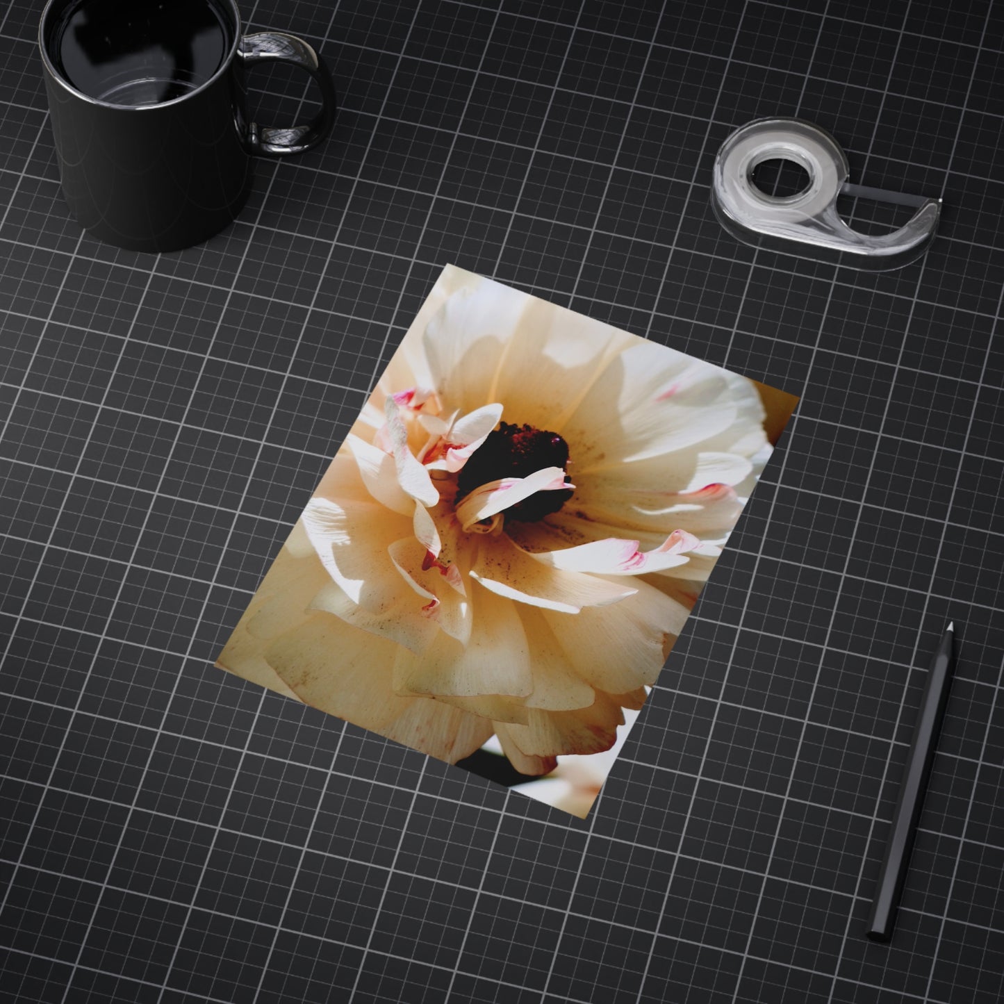 Cream Peony - Photo Print