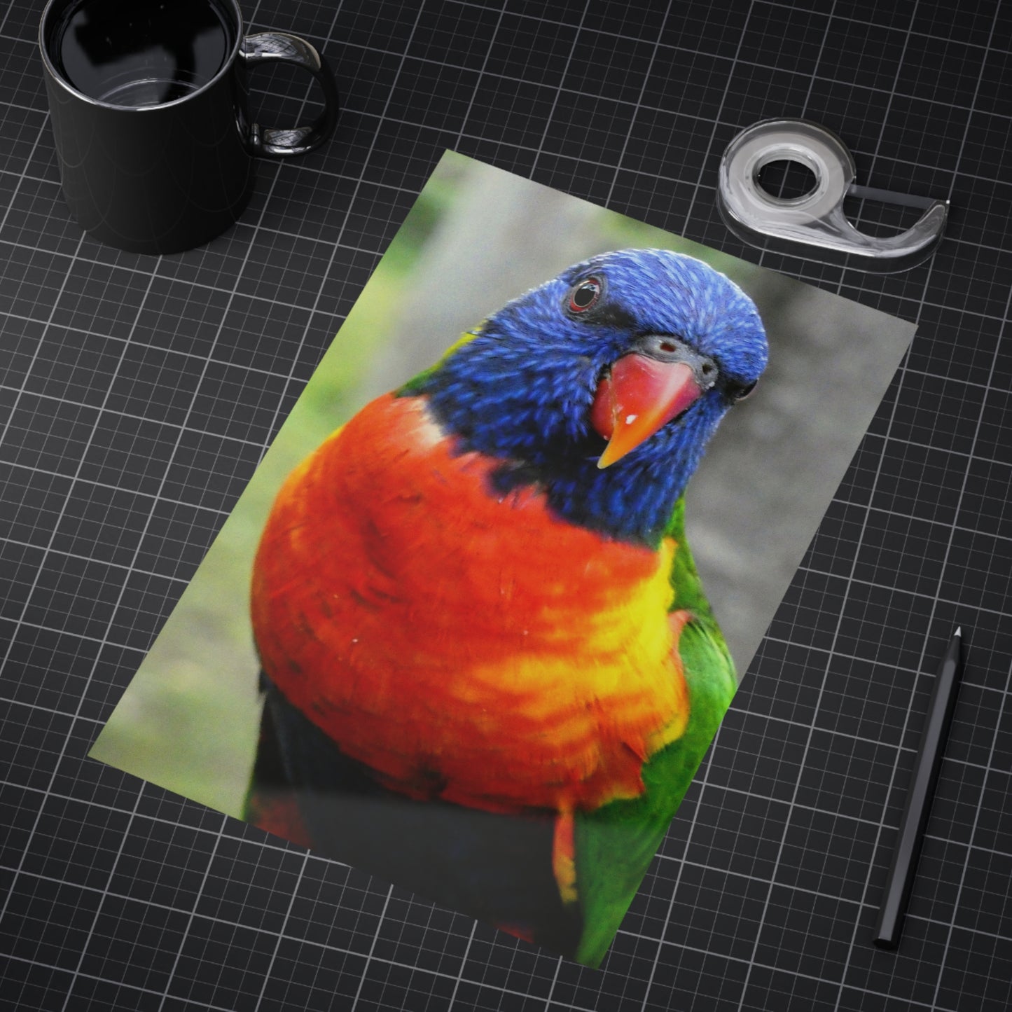 Australian Lorikeet - Photo Print