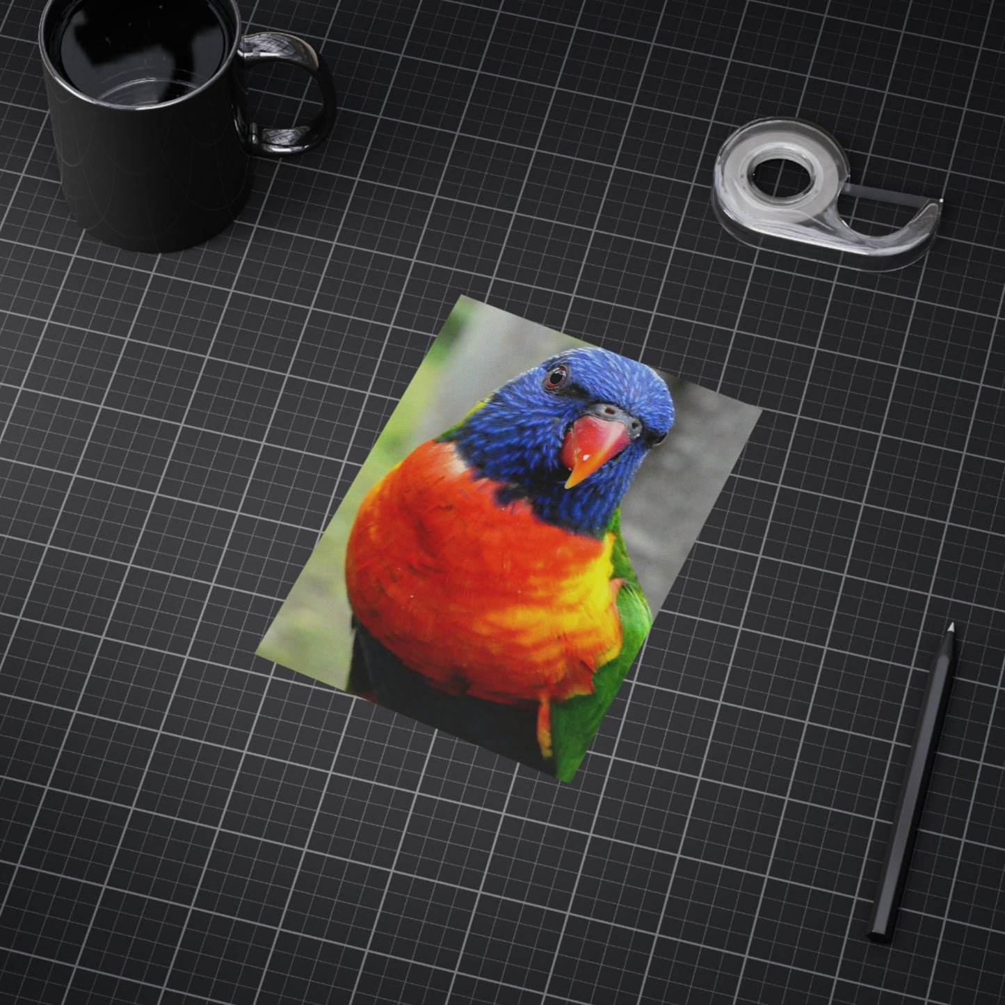 Australian Lorikeet - Photo Print