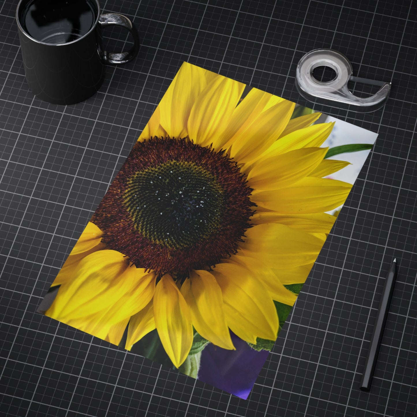 Sunflower - Photo Print