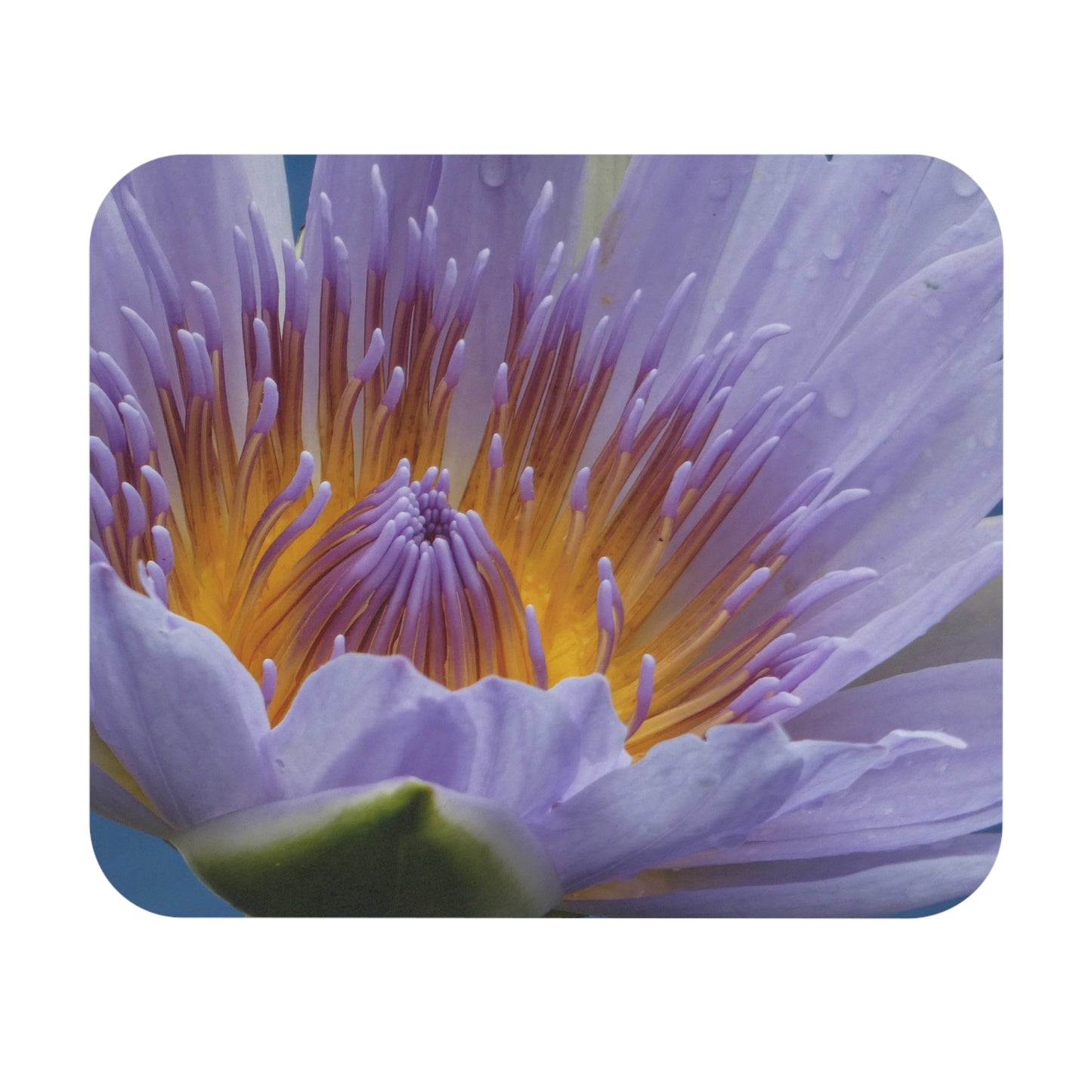 Lily Flower - Mouse Pad (Rectangle)