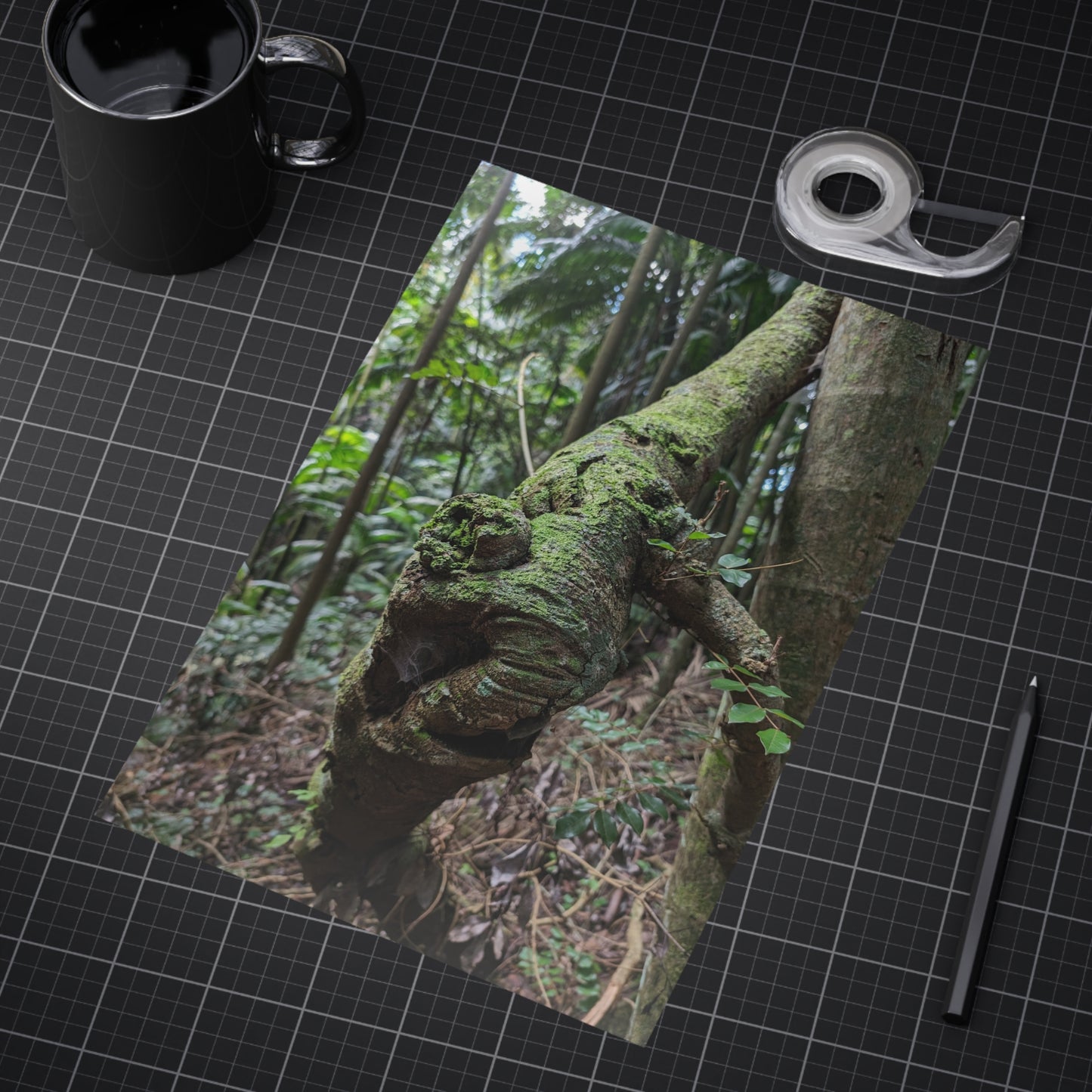 Forest Beauty - Photo Print