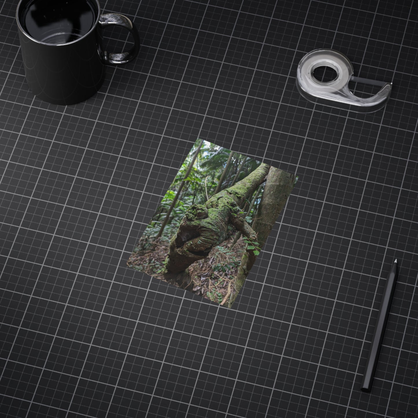 Forest Beauty - Photo Print