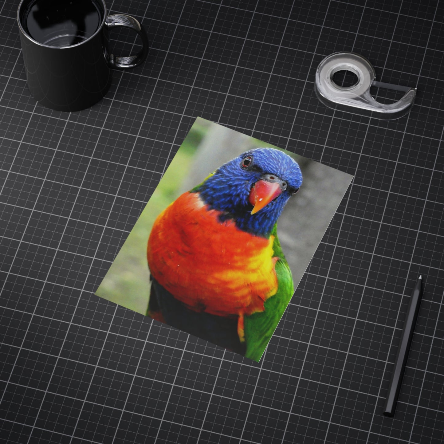 Australian Lorikeet - Photo Print