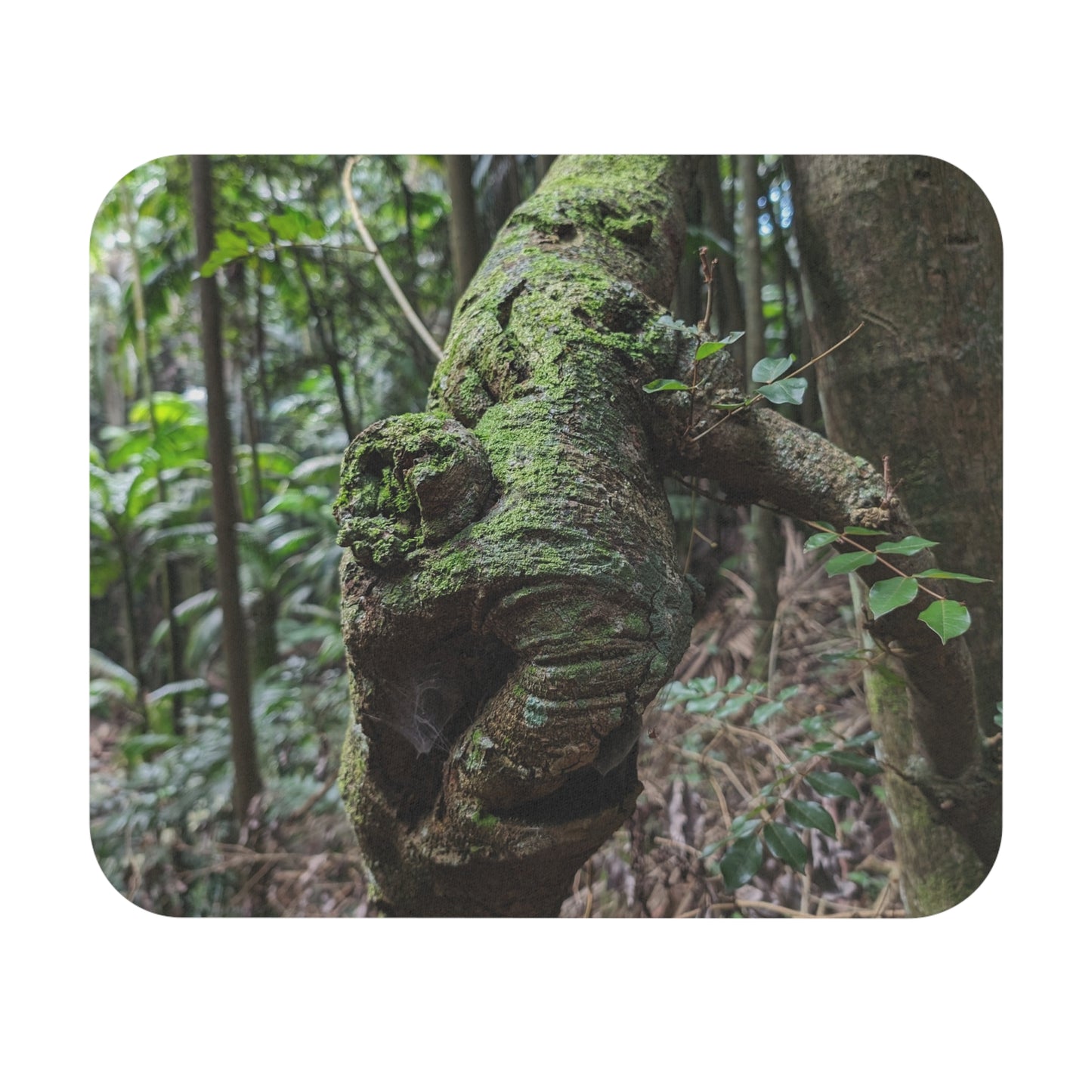 Forest Beauty - Mouse Pad (Rectangle)