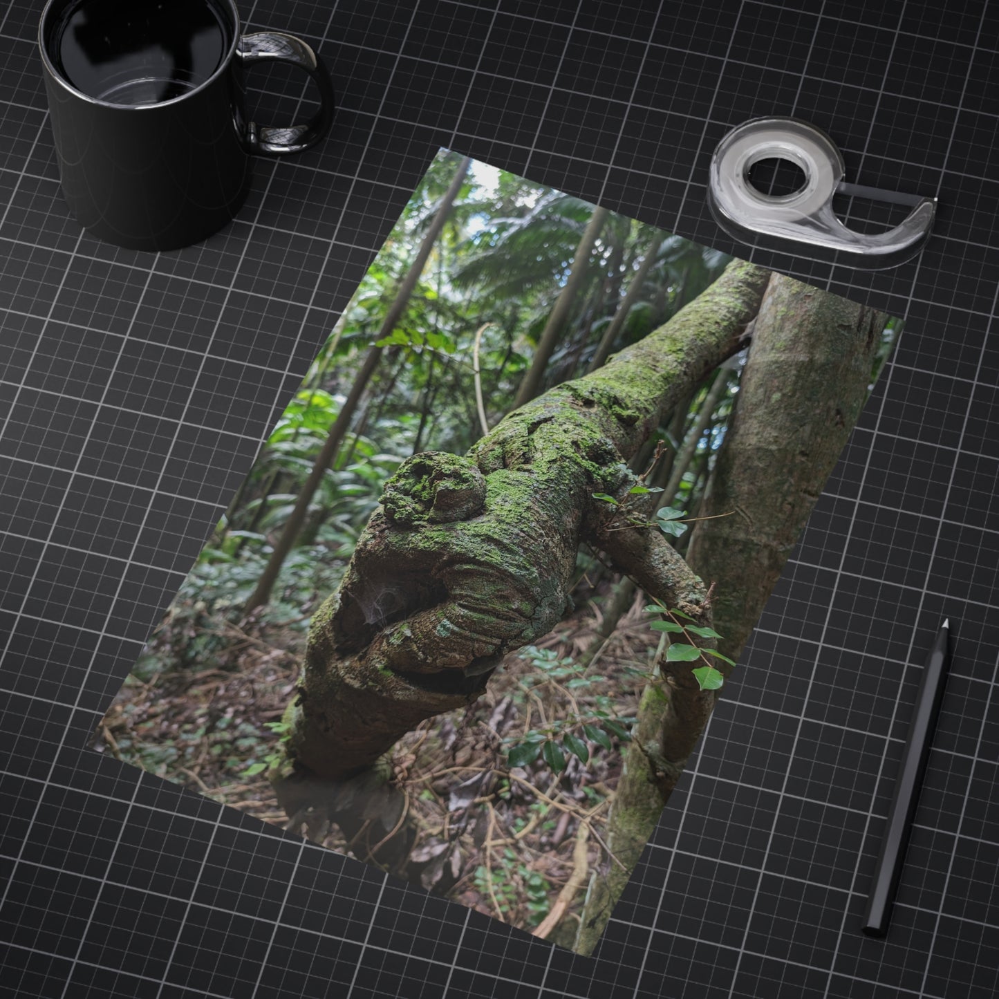 Forest Beauty - Photo Print