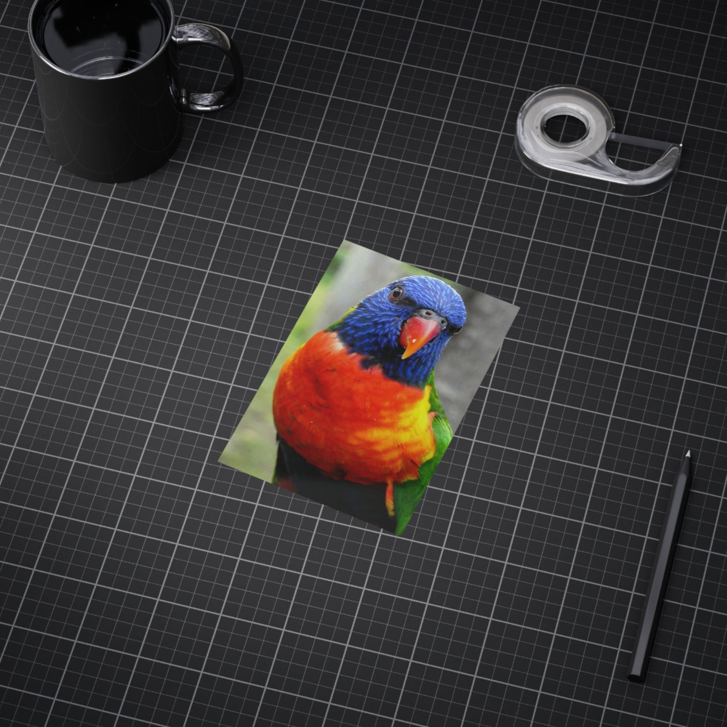 Australian Lorikeet - Photo Print