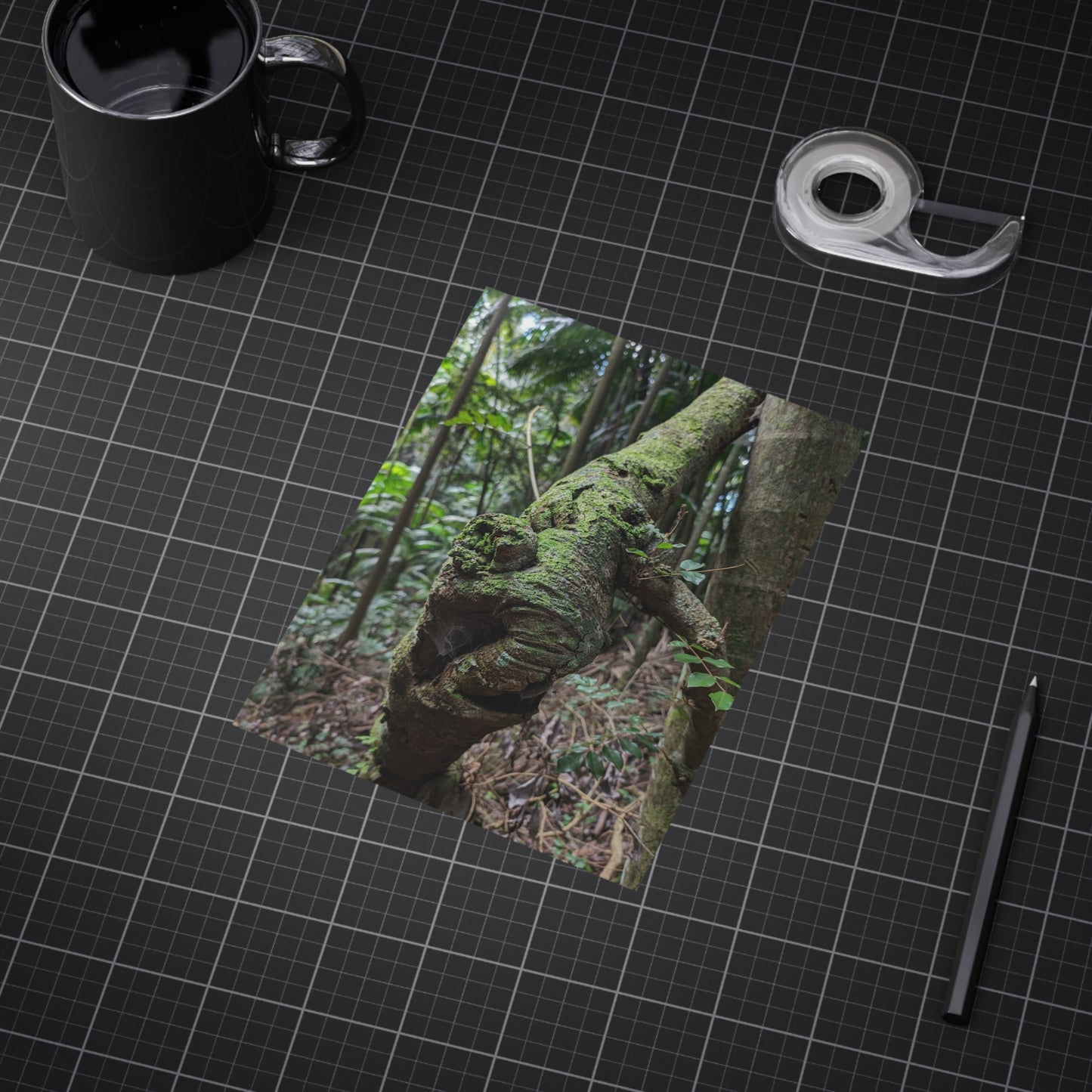 Forest Beauty - Photo Print